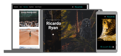 Ricardo - website